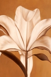 Beyaz Çiçekler Kanvas Tablo - Thumbnail