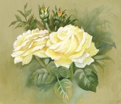 Beyaz Güller Kanvas Tablo - Thumbnail
