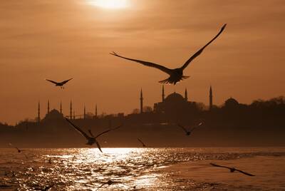 Boğaz'da Martılar Kanvas Tablo