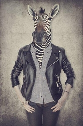 Özverler - Ceketli Zebra Kanvas Tablo