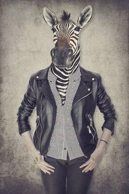 Ceketli Zebra Kanvas Tablo