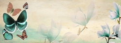 Özverler - Çiçekler ve Kelebekler Kanvas Tablo