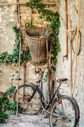 Özverler - Eski Bisiklet Kanvas Tablo