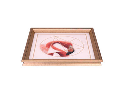 Flamingo Tepsi