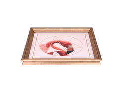 Flamingo Tepsi