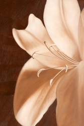 Kahverengi Beyaz Çiçekler Kanvas Tablo - Thumbnail