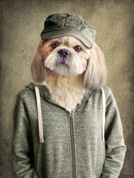 Özverler - Kasketli Köpek Kanvas Tablo
