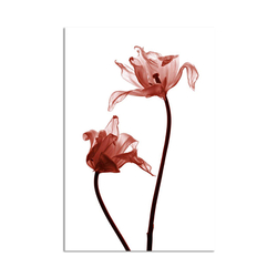 Kırmızı Çiçekler Kanvas Tablo - Thumbnail