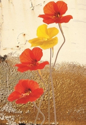 Özverler - Kırmızı Çiçekler Kanvas Tablo