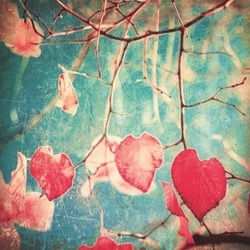 Özverler - Kırmızı Yaprak Kanvas Tablo