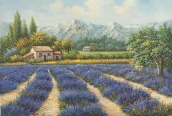 Özverler - Lavanta Tarlaları