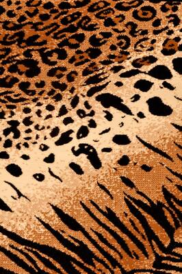 Leopar-Kaplan Desenleri Kanvas Tablo