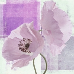 Lila Çiçekler Kanvas Tablo - Thumbnail