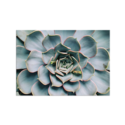 Lotus Yaprakları Kanvas Tablo - Thumbnail