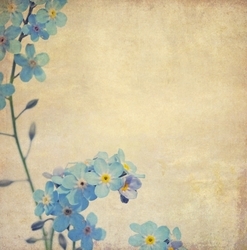 Mavi Çiçek Kanvas Tablo - Thumbnail