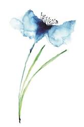 Mavi Çiçek Kanvas Tablo