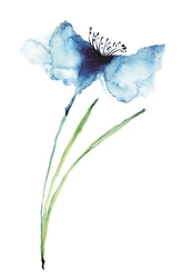 Özverler - Mavi Çiçek Kanvas Tablo