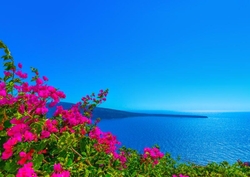 Özverler - Pembe Çiçekler Ardında Deniz