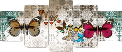 Renkli Kelebekler Beş Parçalı Kanvas Tablo - Thumbnail