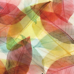 Renkli Yapraklar Kanvas Tablo - Thumbnail