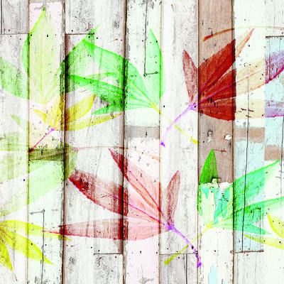 Renkli Yapraklar Kanvas Tablo