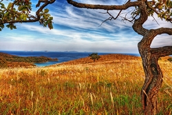 Özverler - Sarı Çayır Ardında Deniz