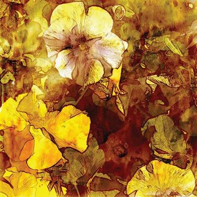 Sarı Çiçek Kanvas Tablo