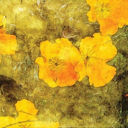 Özverler - Sarı Çiçek Kanvas Tablo