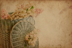 Sepette Çiçek Kanvas Tablo - Thumbnail