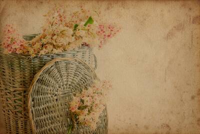 Sepette Çiçek Kanvas Tablo