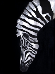 Özverler - Siyah Beyaz Zebra Kabartmalı Tablo