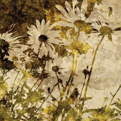 Özverler - Soyut Çiçekler Kanvas Tablo