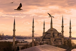 Özverler - Sultanahmet Camii ve Martılar Kanvas Tablo