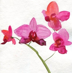 Özverler - Suluboya Çiçekler Kanvas Tablo