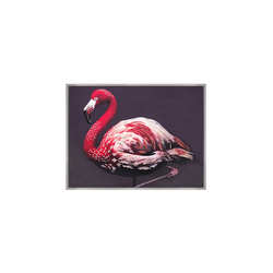 Özverler - Taşlı Flamingo Tablo 80x120cm