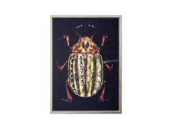 Özverler - Taşlı Böcek Tablo 53x73cm