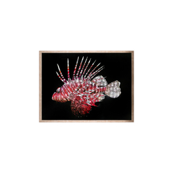 Özverler - Taşlı Balık Tablo 78x103cm