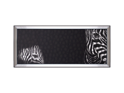 Özverler - Zebra Tablo 45x105cm