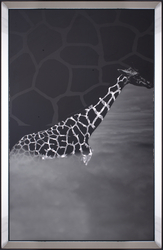 Özverler - Zürafa Tablo 97x157cm
