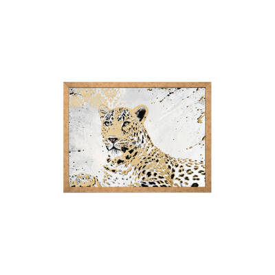 Kaplan Tablo 60x80cm