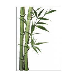 Özverler - Yeşil Bambu Kanvas Tablo