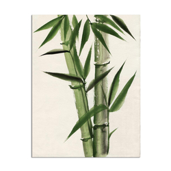 Özverler - Yeşil Bambu Kanvas Tablo