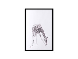 Zürafa Çerçeveli Poster - Thumbnail